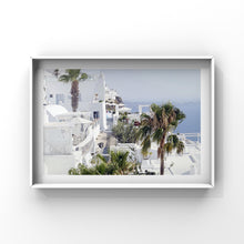 Load image into Gallery viewer, Palm in Santorini
